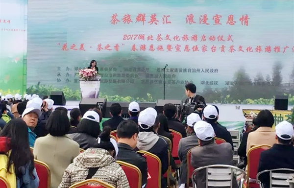 2017湖北茶文化旅游启动仪式