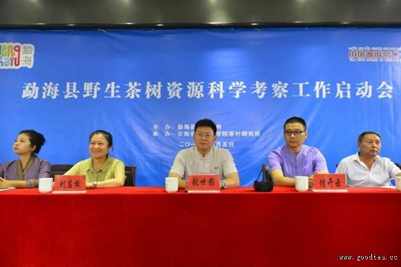 勐海县野生茶树资源科学考察工作正式启动